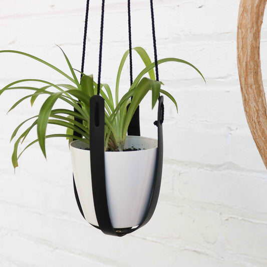 Black plant hanger