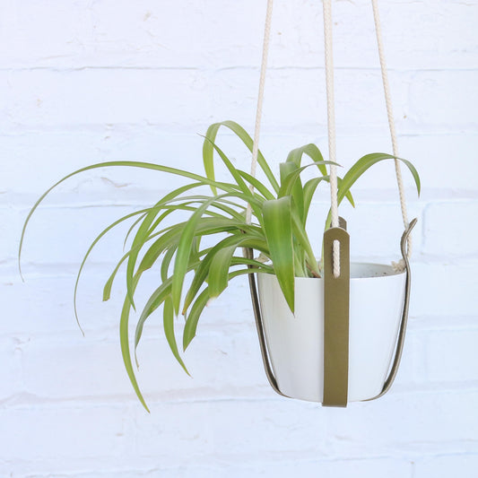 Khaki plant hanger