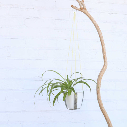 Textured plant hanger